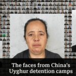 24 мая, после обнародования документов под названием «Полицейские файлы Синьцзяна», гос.чиновники Америки, Англии и Германии опубликовали доклады, в которых выразили обеспокоенность в связи с нынешним трагическим положением уйгурского народа